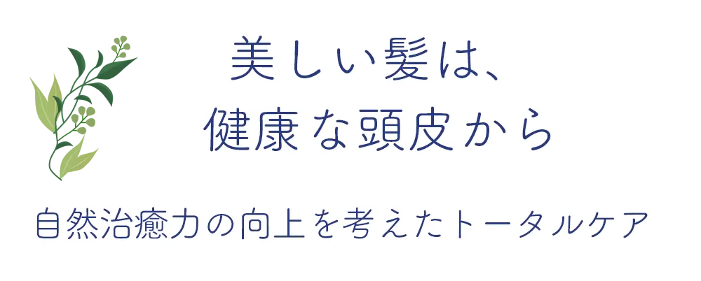 相模原の美容室　ビューティーサロン ユウ 美しい髪は、健康な頭皮から