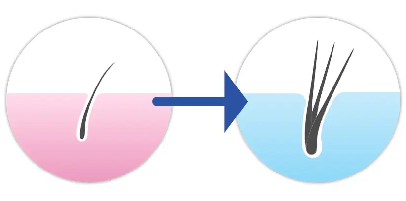 頭皮が健康になると・・・